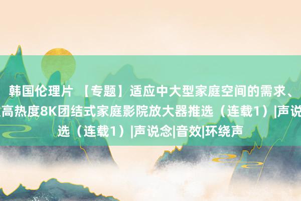 韩国伦理片 【专题】适应中大型家庭空间的需求、十万元以内6款高热度8K团结式家庭影院放大器推选（连载1）|声说念|音效|环绕声