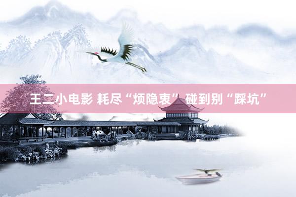 王二小电影 耗尽“烦隐衷” 碰到别“踩坑”