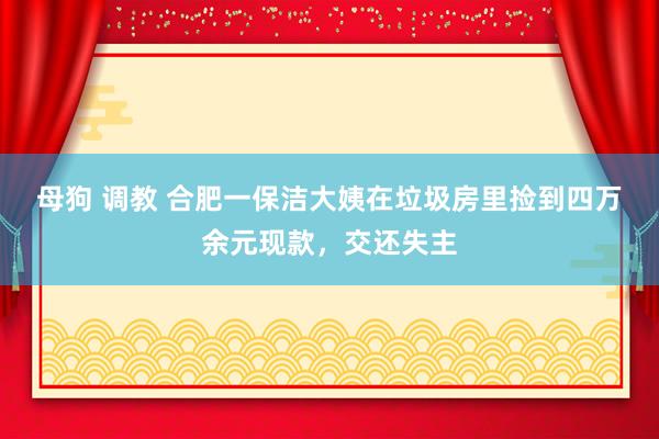 母狗 调教 ﻿合肥一保洁大姨在垃圾房里捡到四万余元现款，交还失主