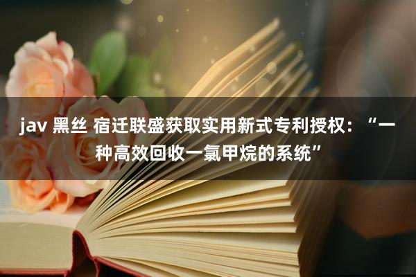 jav 黑丝 宿迁联盛获取实用新式专利授权：“一种高效回收一氯甲烷的系统”