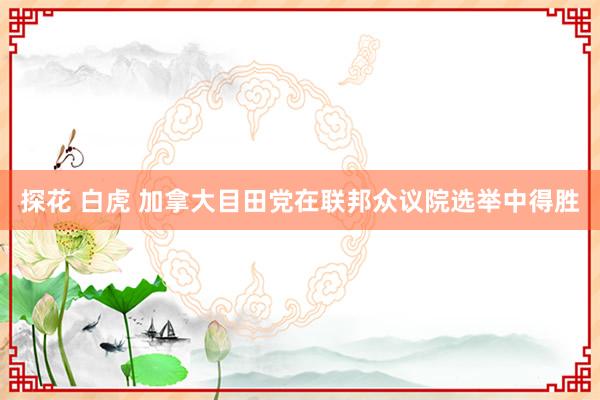探花 白虎 加拿大目田党在联邦众议院选举中得胜