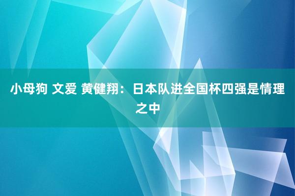 小母狗 文爱 黄健翔：日本队进全国杯四强是情理之中