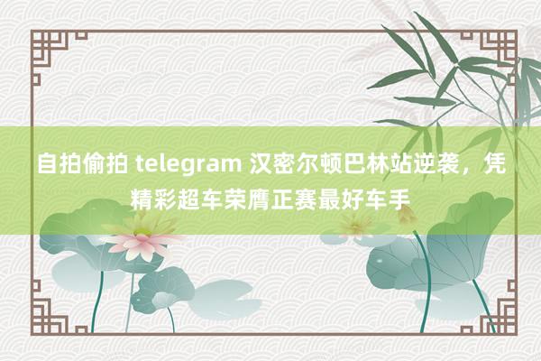 自拍偷拍 telegram 汉密尔顿巴林站逆袭，凭精彩超车荣膺正赛最好车手