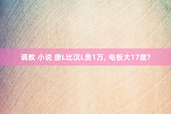 调教 小说 唐L比汉L贵1万， 电板大17度?