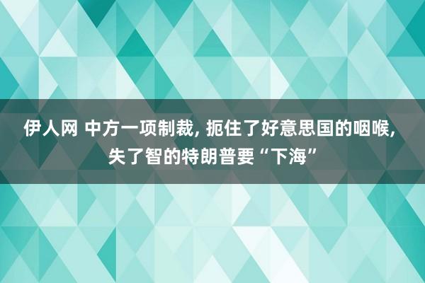 伊人网 中方一项制裁， 扼住了好意思国的咽喉， 失了智的特朗普要“下海”