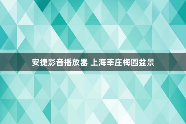 安捷影音播放器 上海莘庄梅园盆景