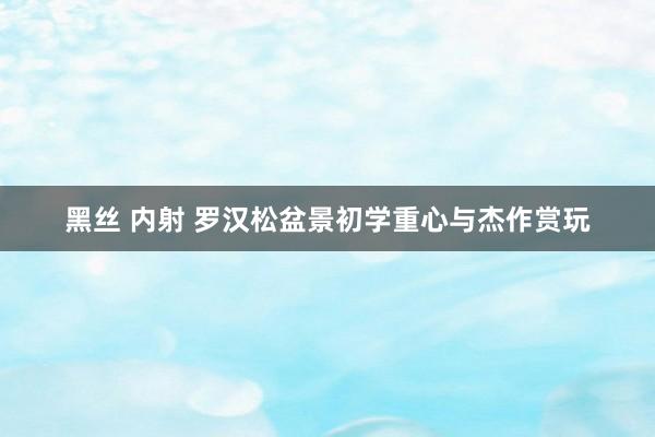 黑丝 内射 罗汉松盆景初学重心与杰作赏玩