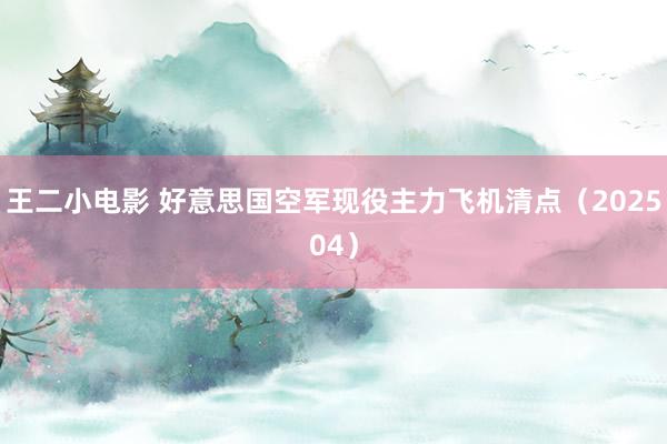 王二小电影 好意思国空军现役主力飞机清点（202504）