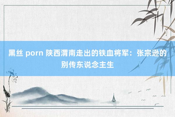 黑丝 porn 陕西渭南走出的铁血将军：张宗逊的别传东说念主生