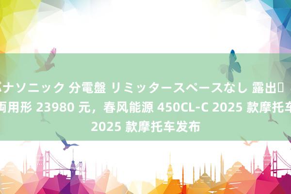 パナソニック 分電盤 リミッタースペースなし 露出・半埋込両用形 23980 元，春风能源 450CL-C 2025 款摩托车发布