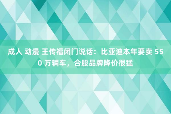 成人 动漫 王传福闭门说话：比亚迪本年要卖 550 万辆车，合股品牌降价很猛